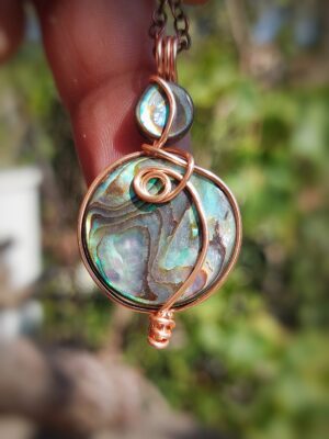 Abalone Schelp New Zealand