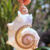 Elegant shell pendant with copper wire wrapping, perfect for boho jewelry lovers. Handcrafted sea sh.