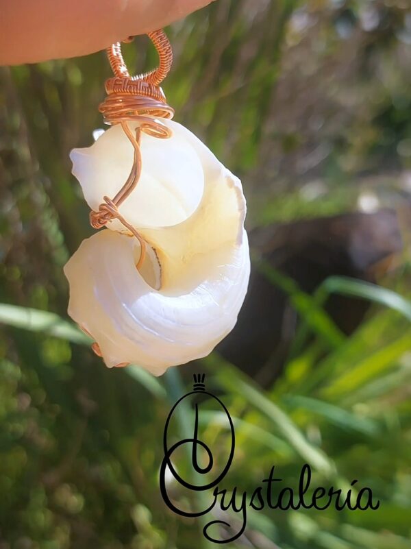 Seashell pendant with copper wire wrapping, handcrafted jewelry piece.